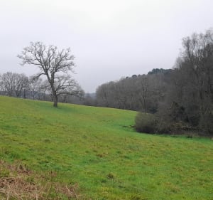 Au départ de l'île de Locastel et Inzinzac-Lochrist - Inzinzac-Lochrist - 3