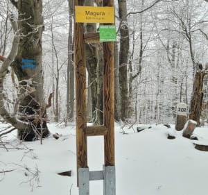 Magura Jasielska i Wątkowa szlakiem żółtym i zielonym - Folusz - 4