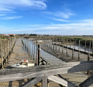 Entre mer et marais depuis Lagord - Nieul-sur-Mer - 4