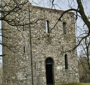 Boucle des Grands Avaux, et Tour du Buisson - Champcueil - 3