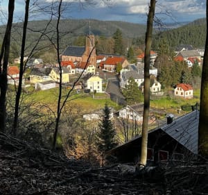 Balade à Wangenbourg - Wangenbourg-Engenthal - 5