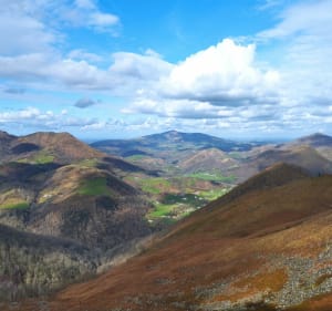 Bidarray tour sur GR - Bidarray - 4