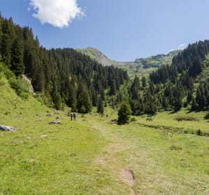 Randonnée à la Cascade des Brochaux depuis Avoriaz - Morzine - 3