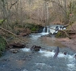 Grande boucle autour de Saint-Julien de Bibost - Bibost - 4
