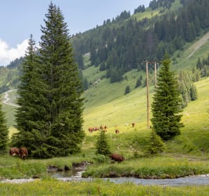 Randonnée à la Cascade des Brochaux depuis Avoriaz - Morzine - 4