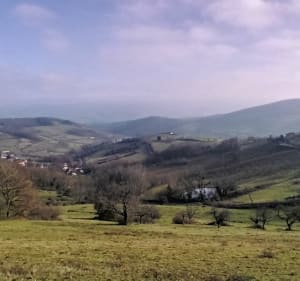 Grande boucle autour de Saint-Julien de Bibost - Bibost - 5