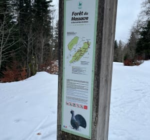 Boucle dans la forêt du Massacre au départ de Lajoux - Lajoux - 5