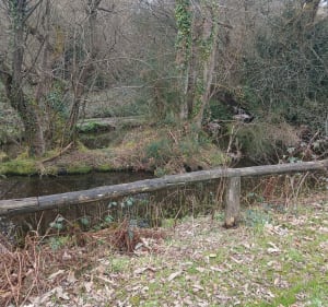Jolie promenade à Moustéru - Moustéru - 5