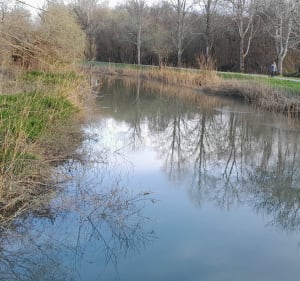 Parcoursle long  de l'Ardanabie - Urcuit - 3