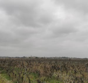 Nézignan-l'Évêque et ses alentours, par la Solancière - Nézignan-l'Évêque - 4