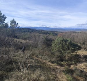 Tour du Pic Saint Loup depuis le col de Fambetou - Valflaunès - 5
