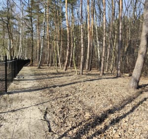 Piechotą przez Piaski - Węgrzce Wielkie - 2