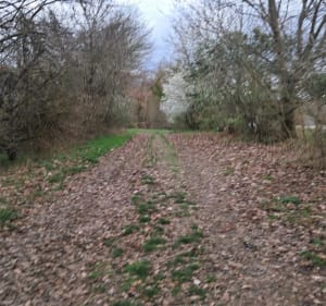 Boucle  randonnée Rieux Mailholas - Rieux-Volvestre - 3