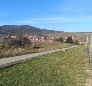 Village Alsacien - Route des vins - Vignobles - Colmar - 4