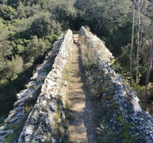 Saint-Bonnet au Pont du Gard par le Sablas - Saint-Bonnet-du-Gard - 5