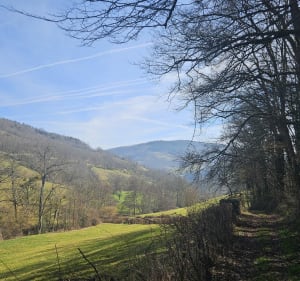 Boucle pédestre autour d'Ancy - Ancy - 3
