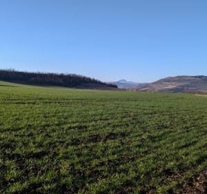 Balade le long de l'Allier et vue sur le château de Chadieu - Authezat - 4