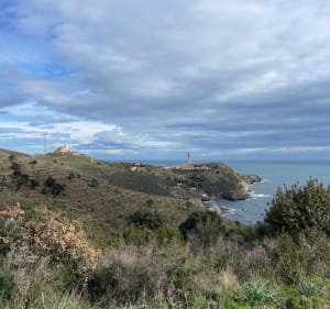 Petite Balade Plage Bernardi - Port-Vendres - 4