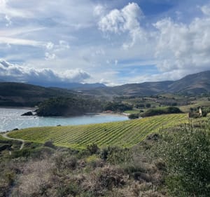 Petite Balade Plage Bernardi - Port-Vendres - 5