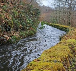 Grand circuit des gorges de la Vienne - Eymoutiers - 5