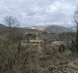 Senissiat et Bois du Chatelard - Dortan - 3