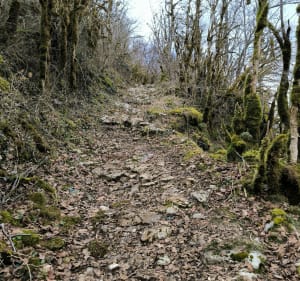 Senissiat et Bois du Chatelard - Dortan - 5