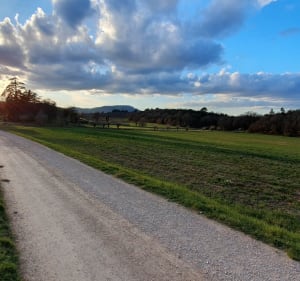 Boucle Domaine Lafoux - Farougères - Tourves - 3