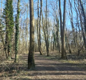 Balade de Dombasle - Dombasle-sur-Meurthe - 5