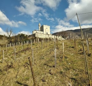 Balade dans les vignes et Saint Jeoire Prieuré - Saint-Jeoire-Prieuré - 5
