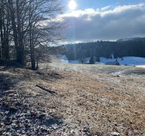 De Lajoux à Lamoura (La Serra) par la forêt du Massacre - Erwan - 4