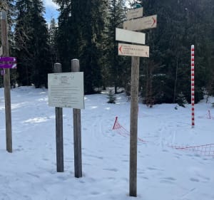 De Lajoux à Lamoura (La Serra) par la forêt du Massacre - Erwan - 3
