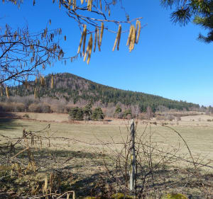 Puy de Charmont par le chemin de Charmont - Aydat - 4