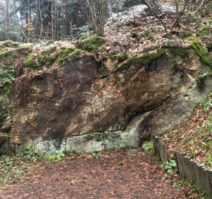 Trekking popołudniowy - Kielce - 3