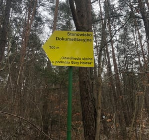 Trekking popołudniowy - Kielce - 4