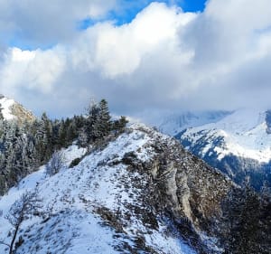 Le Pic de l'Aigle depuis la Route de la Jarjatte - Lus-la-Croix-Haute - 3