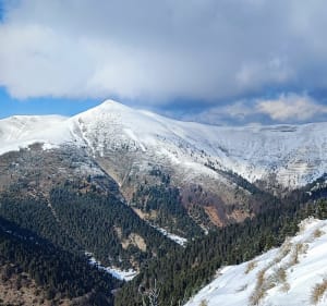 Le Pic de l'Aigle depuis la Route de la Jarjatte - Lus-la-Croix-Haute - 4
