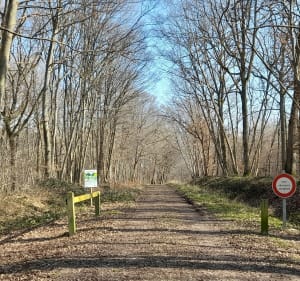 Tour de Paucourt par la pierre du gros vilain - Paucourt - 3