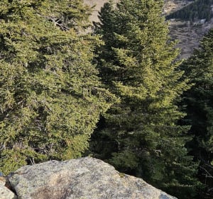 Boucle des Rocs blancs - Mantet - 3