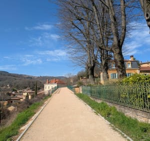 Randonnée dans les pierres dorées depuis Theizé - Theizé - 3