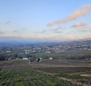 Rando Fleurie à déguster sans. . . . - Fleurie - 3