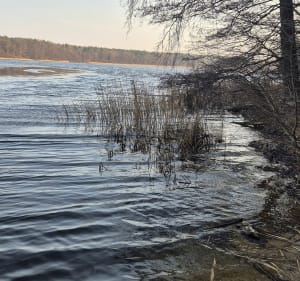 Spacer wzdłuż jeziora Łódzko-Dymaczewskiego - Łódź - 3