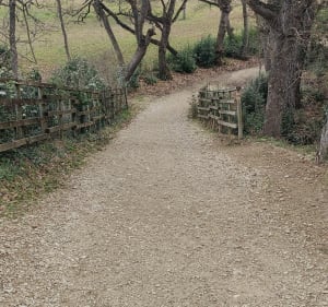 Balade autour de Saint Rémy - Saint-Rémy-de-Provence - 4
