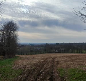 La campagne à partir de Fougère - Fougères - 3