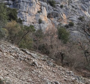 Au fil du Verdon depuis le Chalet de la Maline - La Palud-sur-Verdon - 2