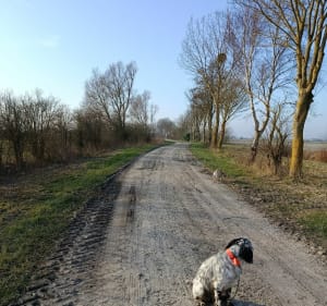 Autour des huttes - Pendé - 3