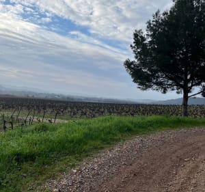 Balade à Canet - Canet - 3