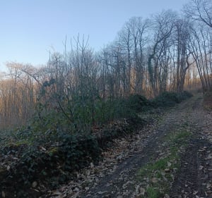 Boucle passant par les Abrets, Pressins, la Chapelle - Les Abrets en Dauphiné - 3