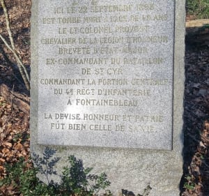 Les hauts de Bourron et la Mare aux Fées - Bourron-Marlotte - 3