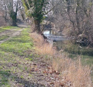De La Cabre aux Bois de Lamon – Sentiers ludiques et nature - Sénas - 4