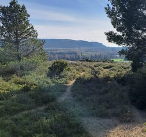 De La Cabre aux Bois de Lamon – Sentiers ludiques et nature - Sénas - 5